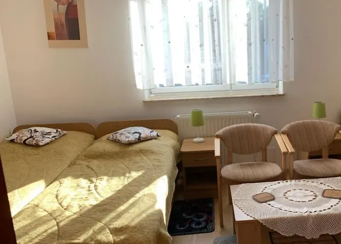 Goscinne Matros Проживание в семье *